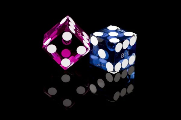 abc77 বার্ড ক্যাচার লিডারবোর্ড এবং পুরস্কার ডিসপ্লে